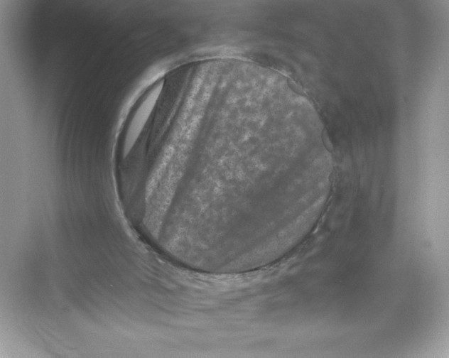 X0000072540006200608111825