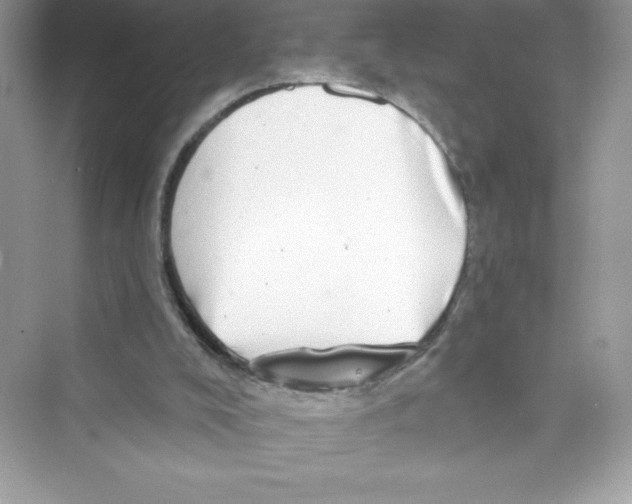 X0000072540008200608111825