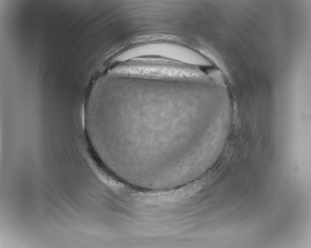 X0000072540013200608111825