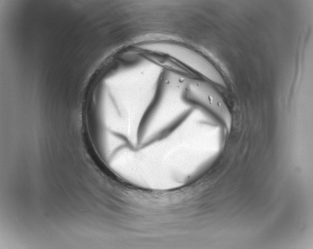 X0000072540015200608111825