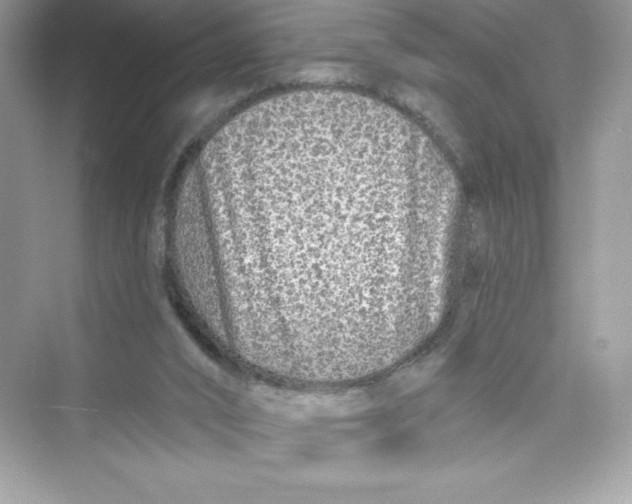 X0000072540016200608111825