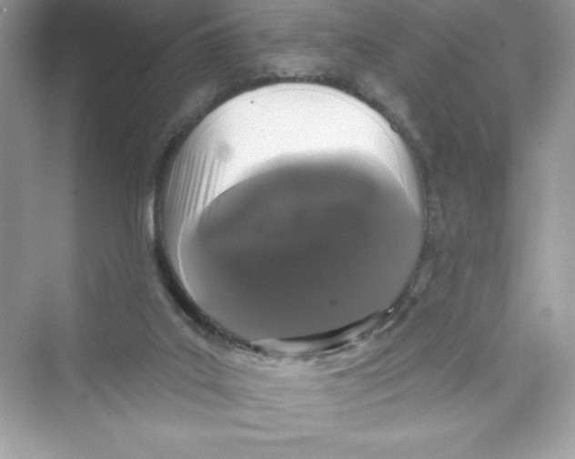 X0000072540019200608111825