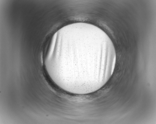 X0000072540020200608111824