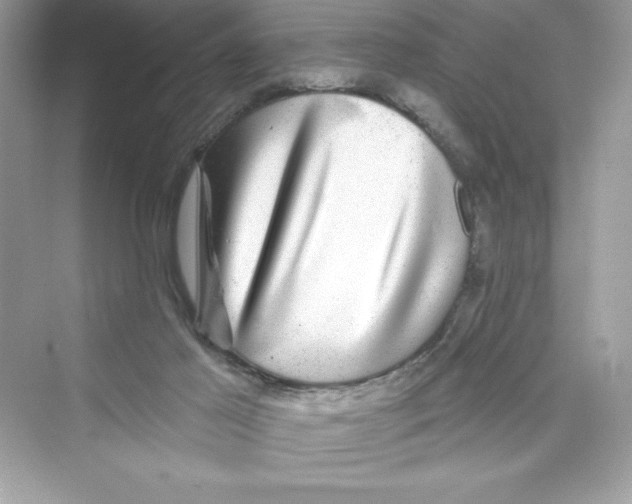 X0000072540021200608111824