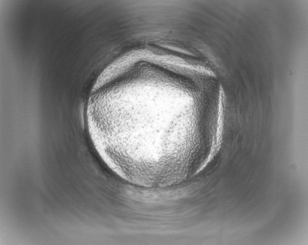 X0000072540022200608111824