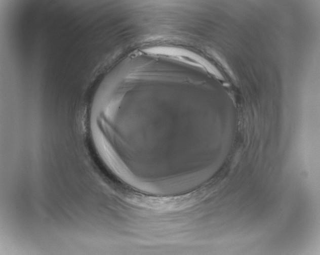 X0000072540023200608111824