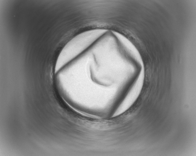 X0000072540024200608111824