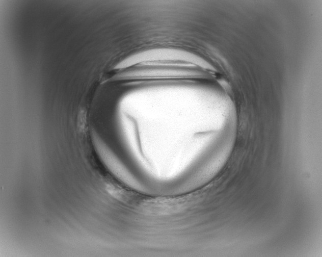 X0000072540025200608111824