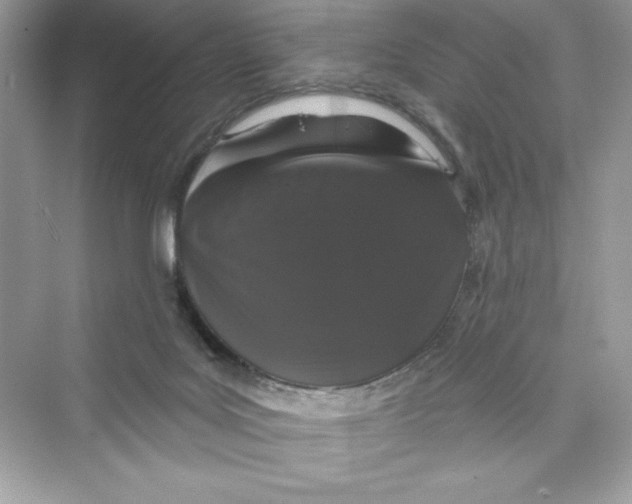 X0000072540027200608111824