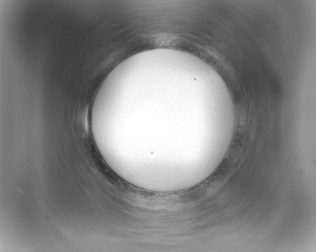 X0000072540028200608111824