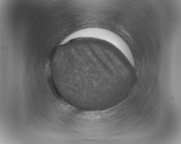 X0000072540029200608111824