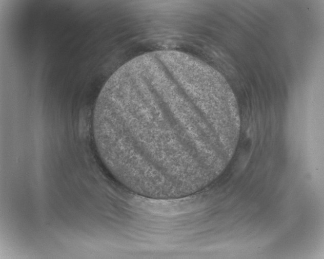 X0000072540030200608111824