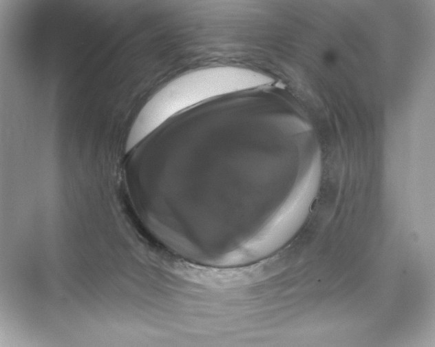 X0000072540031200608111824