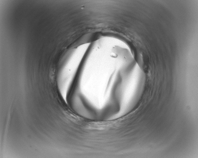 X0000072540033200608111824