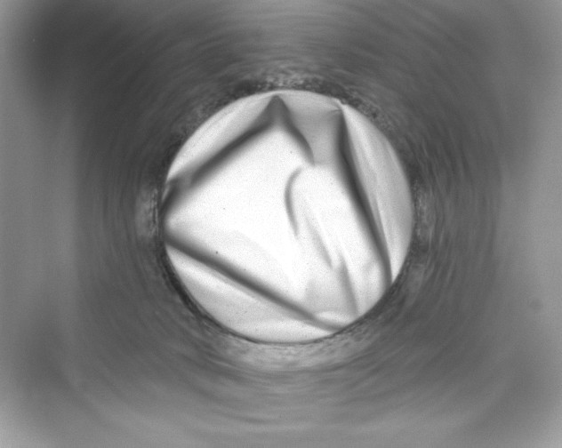 X0000072540034200608111824