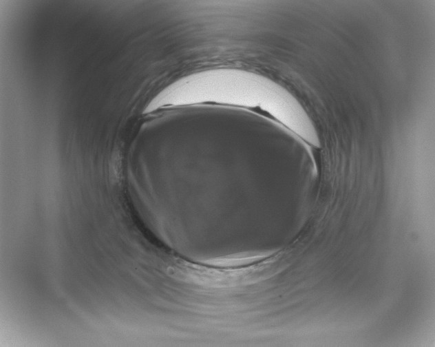 X0000072540035200608111824