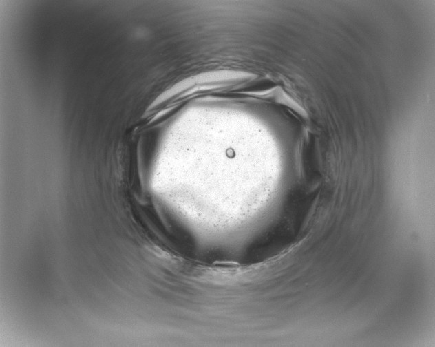 X0000072540037200608111824