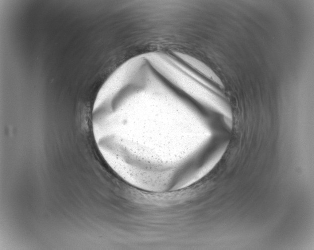 X0000072540038200608111824