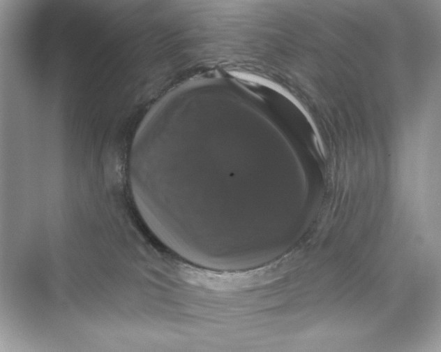 X0000072540039200608111824