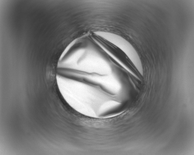 X0000072540040200608111824