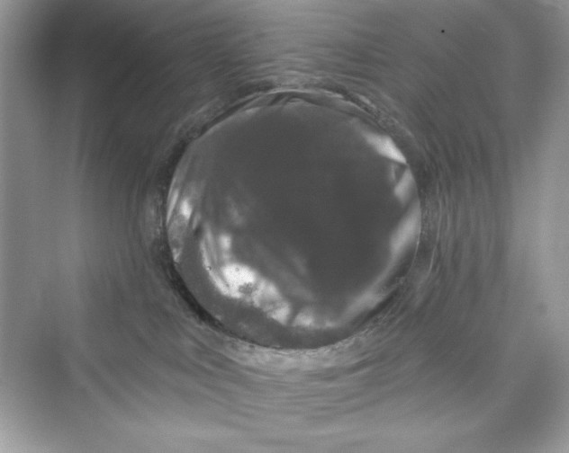 X0000072540043200608111824