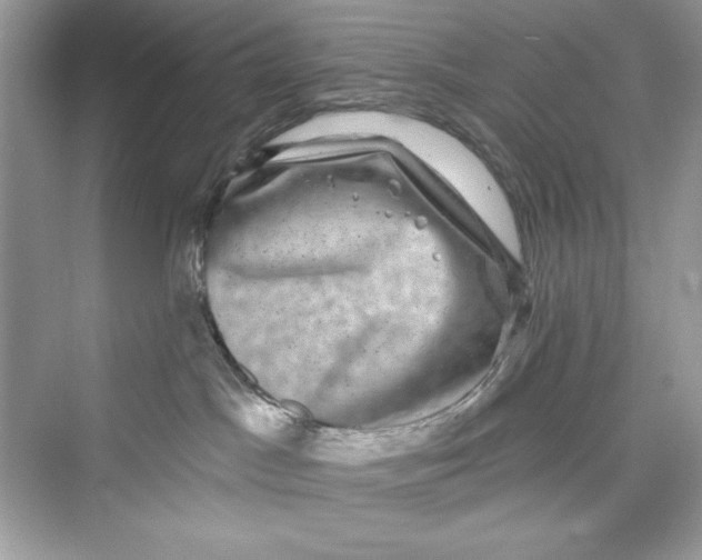 X0000072540045200608111824