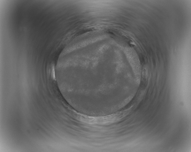 X0000072540046200608111824