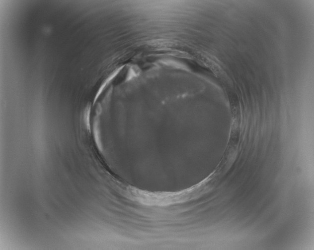 X0000072540047200608111824