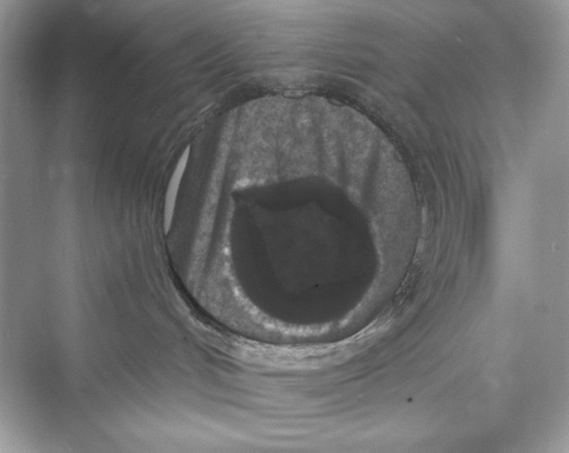 X0000072540048200608111824