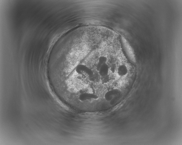 X0000072540049200608111823