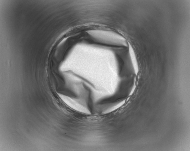 X0000072540050200608111823