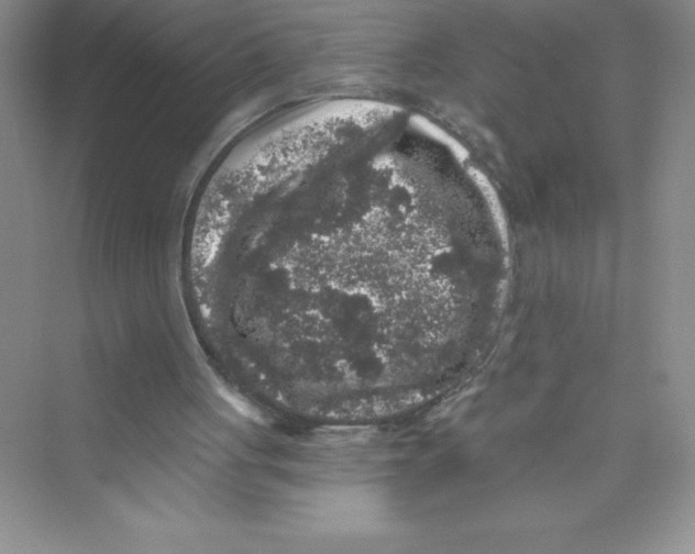 X0000072540051200608111823