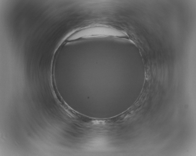 X0000072540052200608111823