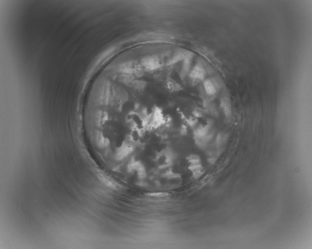 X0000072540053200608111823