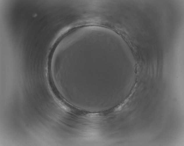 X0000072540054200608111823