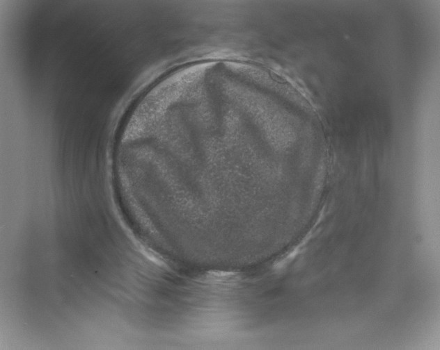 X0000072540055200608111823