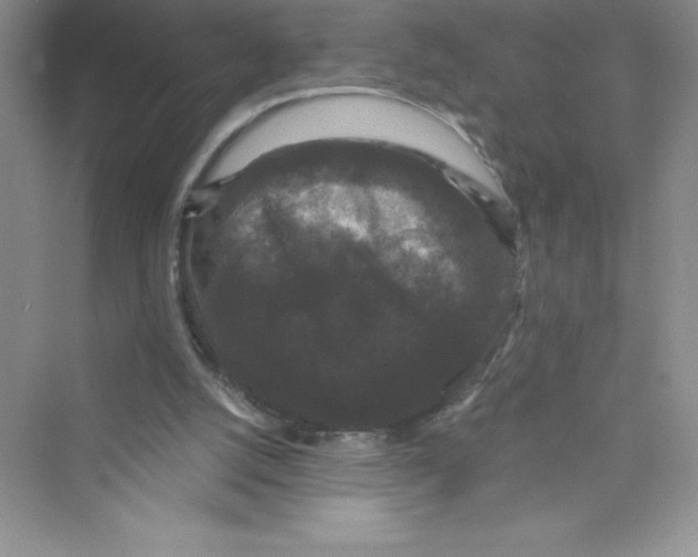 X0000072540056200608111823