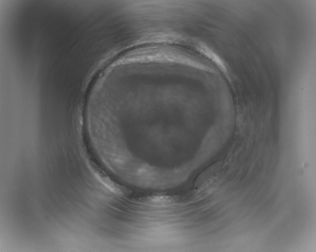 X0000072540059200608111823