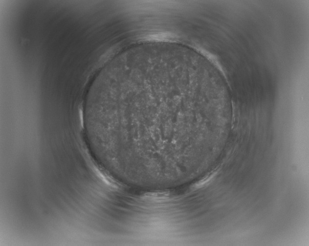 X0000072540061200608111823