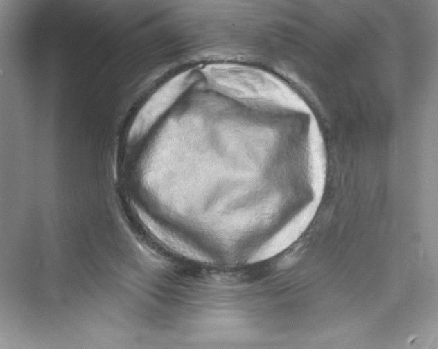 X0000072540062200608111823