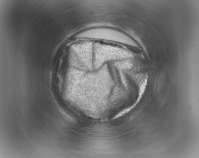 X0000072540063200608111823