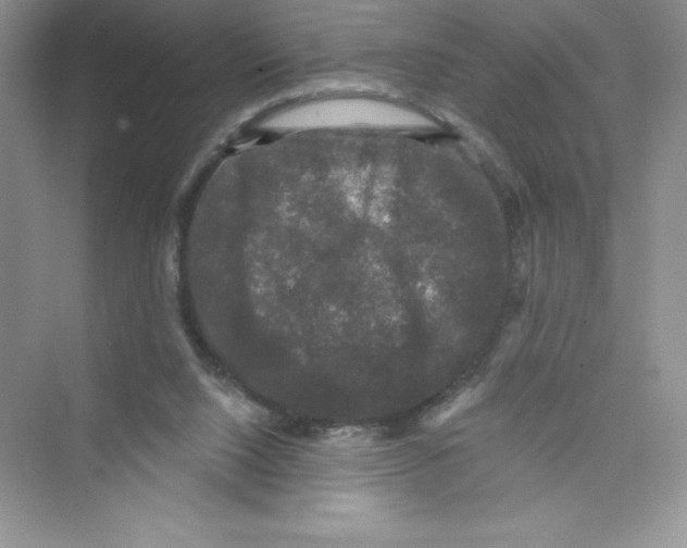 X0000072540064200608111823