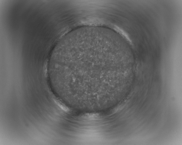 X0000072540065200608111823