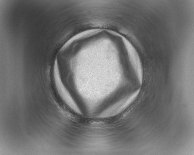 X0000072540066200608111823