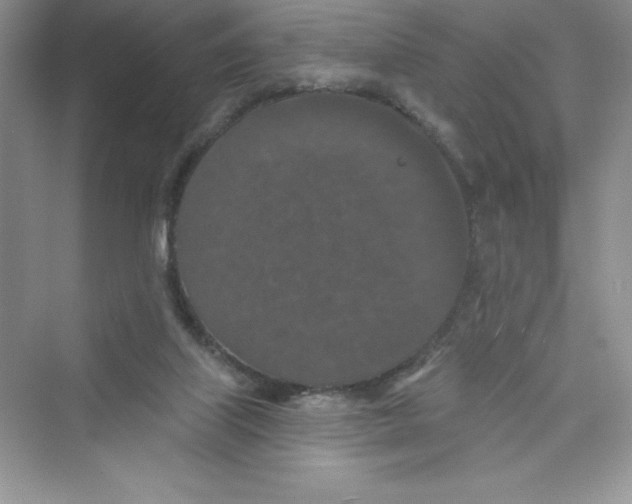 X0000072540067200608111823