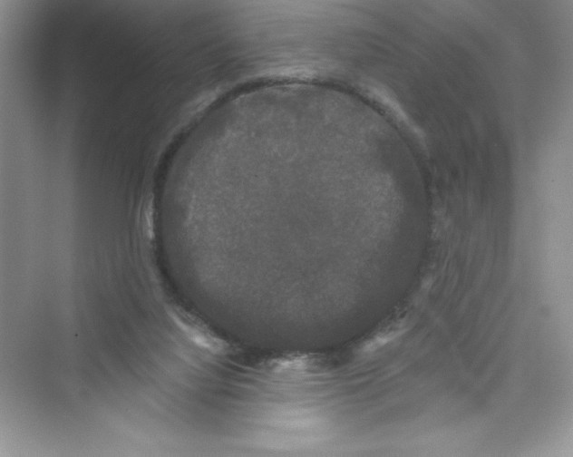 X0000072540068200608111824