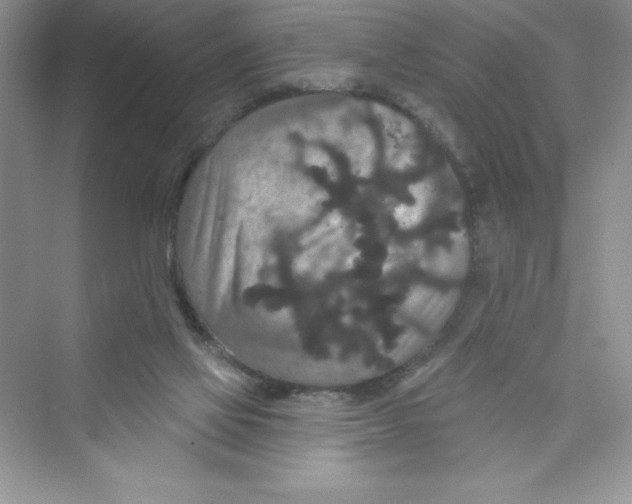 X0000072540069200608111824