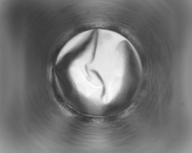 X0000072540070200608111824