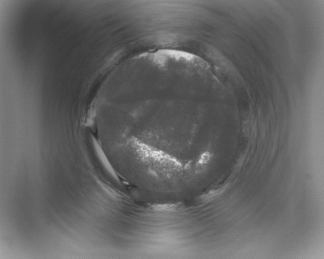 X0000072540072200608111824