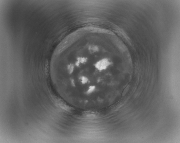 X0000072540073200608111824